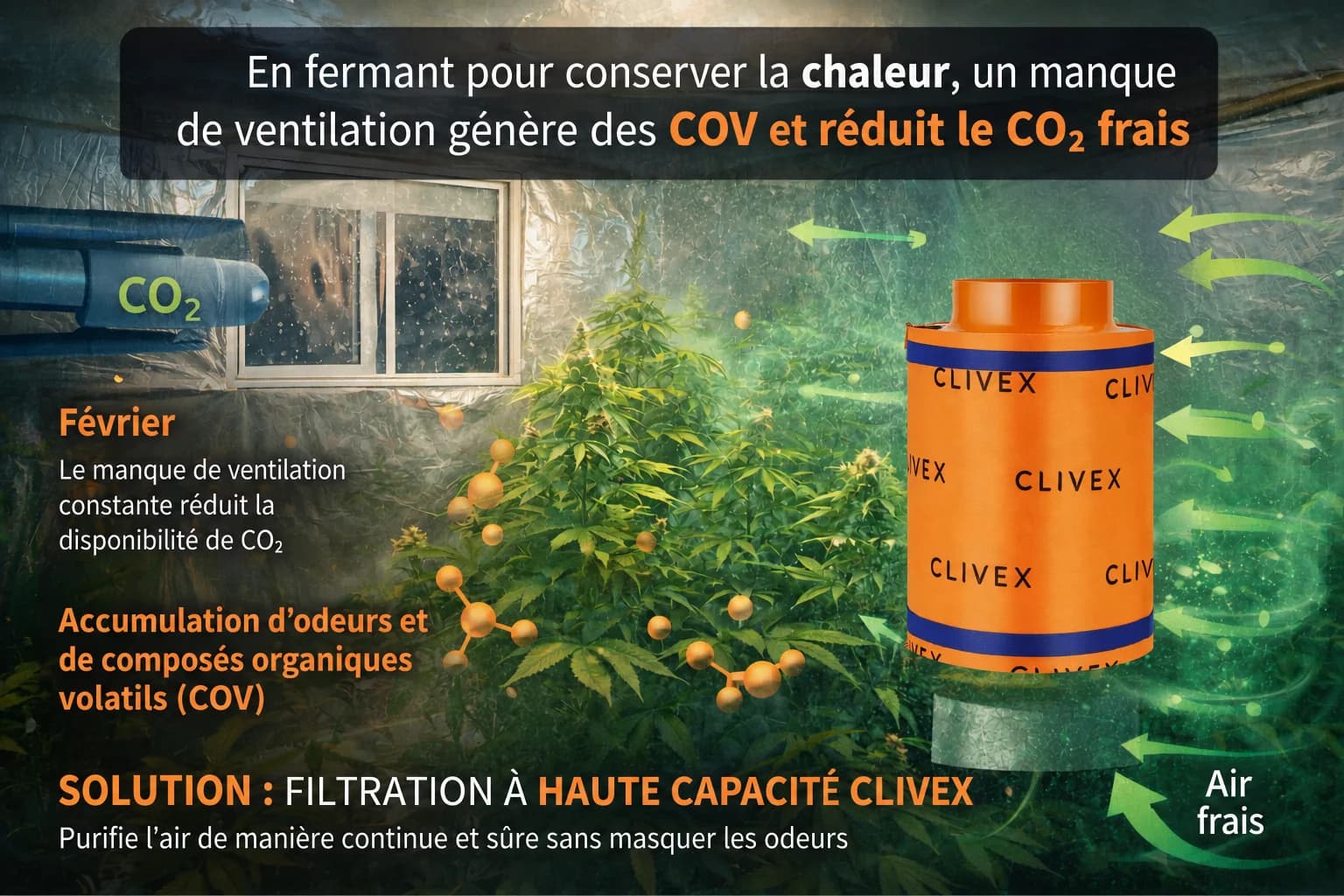 La science derrière la filtration au charbon actif dans les cultures indoor