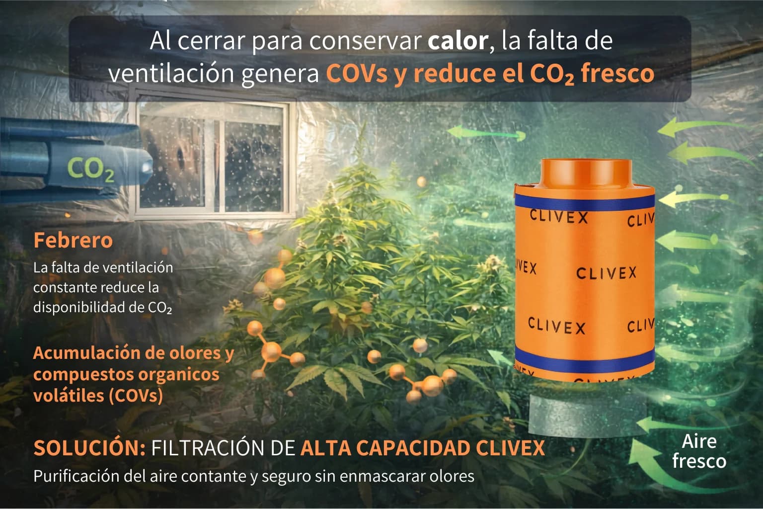 La ciencia detrás de la filtración de carbón activado en cultivos indoor